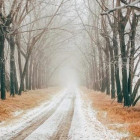 Гололед, туман и мокрый снег: суббота не порадует пензенцев хорошей погодой