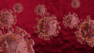 За сутки в Пензенской области выявили коронавирус у 164 человек