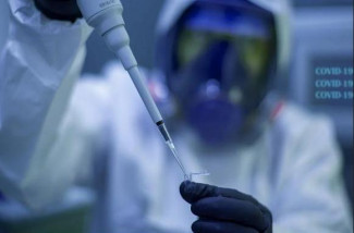 В Пензенской области провели около 497 тысяч тестов на коронавирус