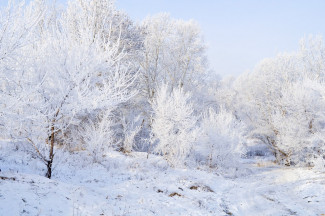 Пензенцев предупреждают об аномально-холодной погоде 4 декабря