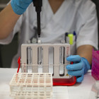 Более 38% населения Пензенской области прошли тест на коронавирус