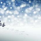 Какая погода ожидает пензенцев 15 декабря?