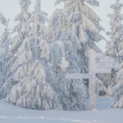 19 декабря в Пензенской области ожидается похолодание