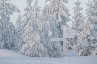 19 декабря в Пензенской области ожидается похолодание