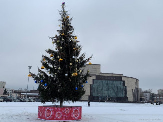 На Юбилейной площади Пензы впервые появилась новогодняя елка
