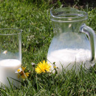 В Пензенской области молоко доят лучше всех