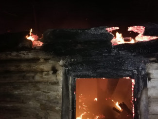 В Пензенской области при пожаре в собственном доме погиб мужчина