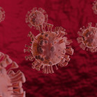 В Пензенской области выявлен коронавирус в 2 городах и 4 районах
