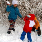 В пензенском Детском парке состоятся два зимних мероприятия 
