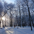 Завтра в Пензенской области похолодает до -27ºС