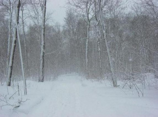 Пензенцев предупреждают о метели и сильном снегопаде 14 января