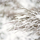 Воскресенье пензенцы снова встретят со снегом и минусовой температурой