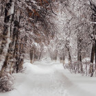 20 января в Пензенской области сохранится сильный мороз