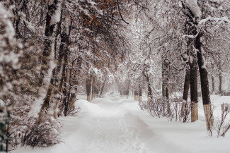 20 января в Пензенской области сохранится сильный мороз
