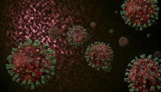 В Пензенской области выявлено 228 новых случаев коронавируса
