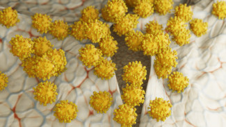 В Пензенской области за сутки коронавирус выявлен в 2 городах и 4 районах