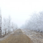 Пензенцев предупреждают о тумане, гололеде и сильном ветре 28 января