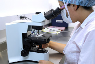 В Пензенской области провели более 686 тысяч тестов на коронавирус