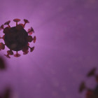 В Пензенской области за сутки выявлено 224 случая коронавируса