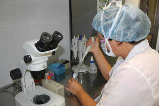 В Пензенской области провели около 690 тысяч тестов на коронавирус