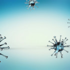 В Пензенской области за сутки выявили 205 случаев коронавируса