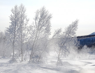 Завтра в Пензенской области ожидается 33-градусный мороз
