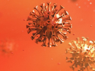 В Пензенской области за сутки выявили 190 случаев коронавируса