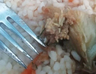 В пензенском минобре отреагировали на сообщение о «червивом обеде» в школе