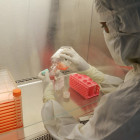 В Пензенской области провели более 820 тысяч тестов на коронавирус