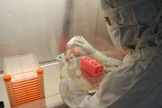 В Пензенской области провели более 820 тысяч тестов на коронавирус