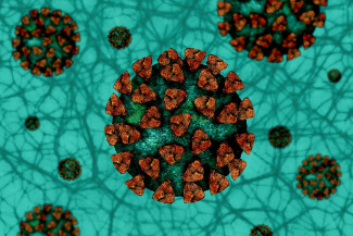 В России болеет коронавирусом около 300 тысяч человек