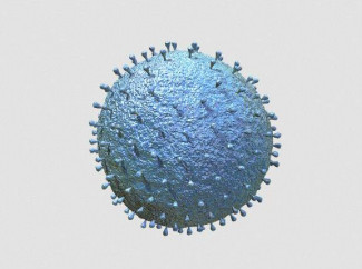 В Пензенской области выявили 106 случаев коронавируса за сутки