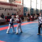 В Пензе прошли областные соревнования по каратэ киокусинкай