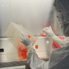 В Пензенской области провели около 856 тысяч тестов на коронавирус