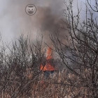 «Горят дачи». Крупный пожар под Пензой тушат более 70 человек