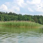 Жителям Пензы запретили купаться в реке Вядь
