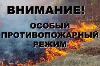 В лесах Пензенской области ввели особый противопожарный режим