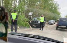 В Пензе дерево упало прямо на машину 