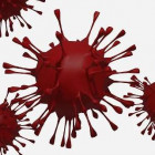 75 случаев коронавируса подтверждено в Пензенской области за сутки