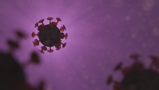 76 случаев коронавируса подтверждено в Пензенской области за сутки