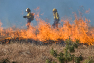 В Пензенской области за сутки было зафиксировано 24 пожара