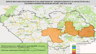 В 2 городах и 2 районах Пензенской области ожидается высокая пожароопасность