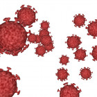В Пензенской области подтверждено 72 случая коронавируса за сутки
