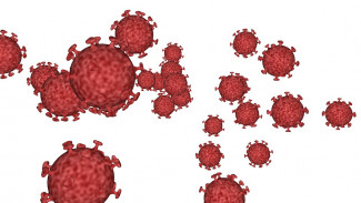 В Пензенской области подтверждено 72 случая коронавируса за сутки