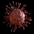 В Пензенской области подтверждено 70 случаев коронавируса за сутки