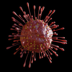 В Пензенской области подтверждено 70 случаев коронавируса за сутки
