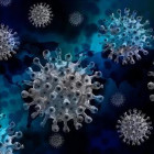 В Пензенской области за сутки подтверждено 73 случая коронавируса