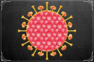 В Пензенской области за сутки подтверждено 72 случая коронавируса