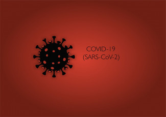 В Пензенской области за сутки выявлено 73 случая коронавируса