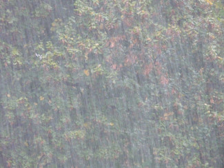 Пензенцев предупреждают о дожде, грозе и граде 26 июня